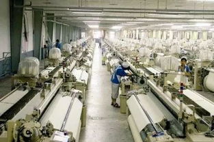 男子炒股赚两千万,随后创业开工厂,打入全国纺织行业的前30强