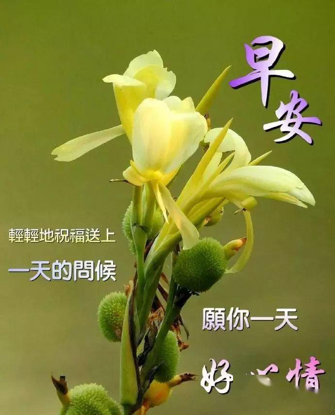 早安問(wèn)候語(yǔ)，迎接美好的新一天——2017年最新問(wèn)候語(yǔ)精選