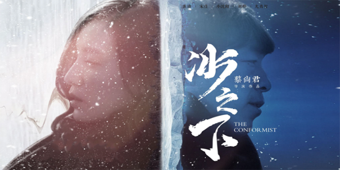 楚離余向晚最新章節(jié)，命運(yùn)的交織與情感的碰撞